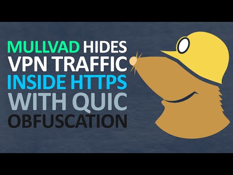 Видео: Mullvad скрывает VPN-трафик внутри HTTPS с помощью обфускации QUIC