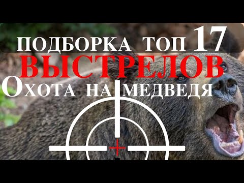 Видео: ПОДБОРКА ОХОТЫ НА  МЕДВЕДЯ.