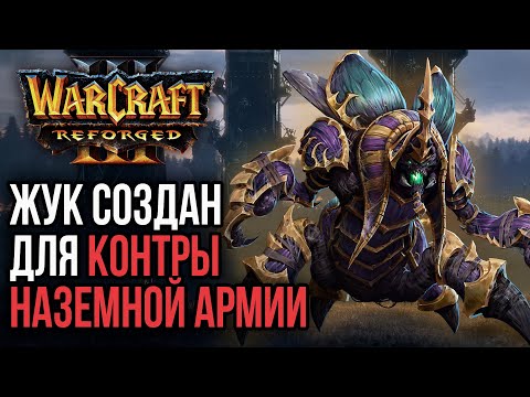 Видео: ЖУК СОЗДАН ДЛЯ КОНТРЫ НАЗЕМНОЙ АРМИИ: Warcraft 3 Reforged