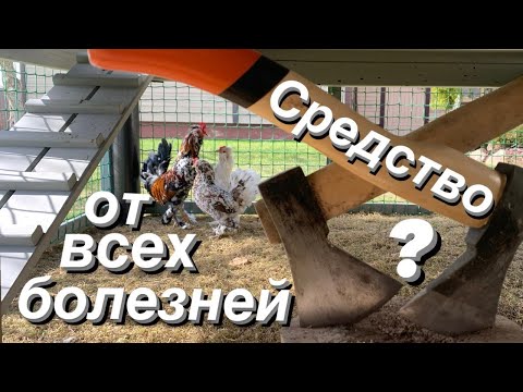 Видео: ЛЕЧИТЬ ИЛИ РЕЗАТЬ ???СТРАННЫЕ ИСТОРИИ!