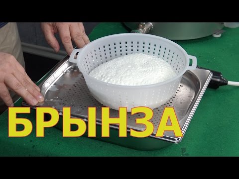 Видео: Приготовление ПРОСТЕЙШЕГО сыра Брынза / Имеретинский / домашний сыр