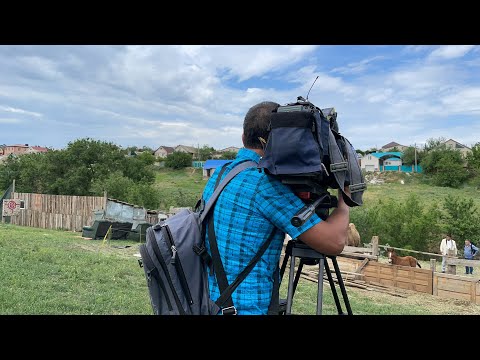 Видео: Верблюжий остров о главном