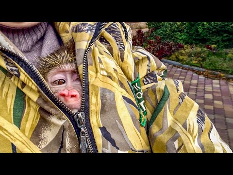 Видео: Анфиса ПЕРЕЕХАЛА, она немного ОШАРАШЕННАЯ от нового места, но быстро РАЗОШЛАСЬ!  