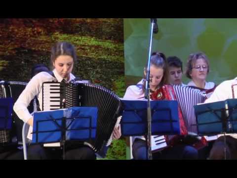 Видео: Оркестр баянистов и аккордеонистов Лакинской ДШИ