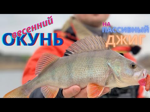 Видео: Ловля окуней на пассивный силикон ранней весной. Где, как, на что ловить окуня после схода льда Март