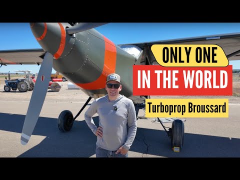 Видео: 1956 год. Французский Бруссар становится зверем в глубинке!