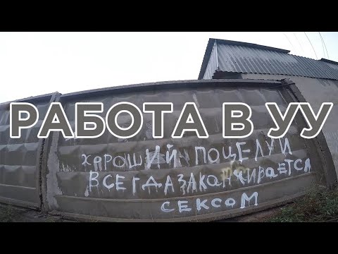 Видео: РАБОТЯГА ФИШАЙ 3 | КАРТОШКА АВТОМОЙКА ЛИСТОВКИ ПОСУДА