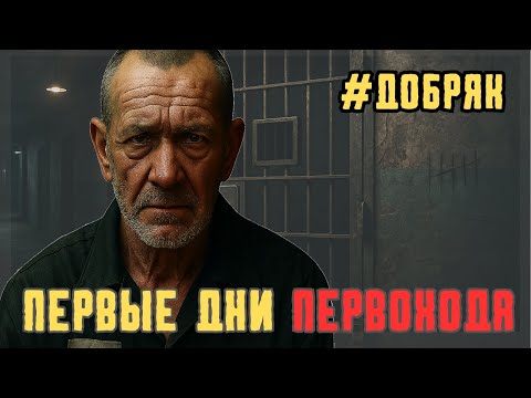 Видео: Ошибки первоходов в первые дни