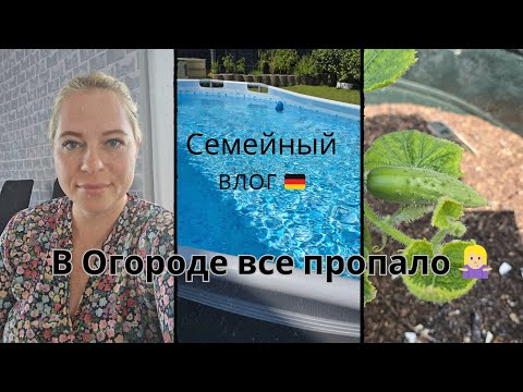 Видео: Семейный Влог 🇩🇪 • Будни 😉 • Всё пропало 🤷🏼‍♀️ • Много дел ..