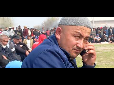Видео: Наврӯз 2023с гӯштин Роғ паҳлавонон  Тобилов аз Палдорак