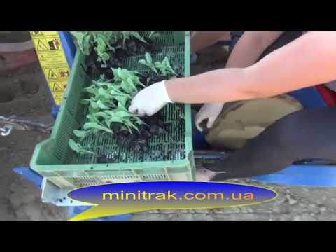 Видео: Рассадопосадочная машина AGROMAX S237, испытание в реальном времени.
