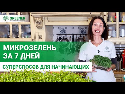 Видео: Выращивайте МИКРОЗЕЛЕНЬ ДОМА этим методом! 100% ВСХОЖЕСТЬ. МАСТЕР-КЛАСС от експерта!