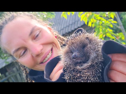 Видео: Деревня - лучшее место на Земле! Молодая семья в сельской местности