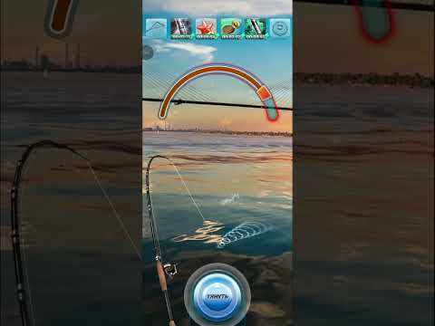 Видео: Let's Fish. Южная Америка. Росарио #1