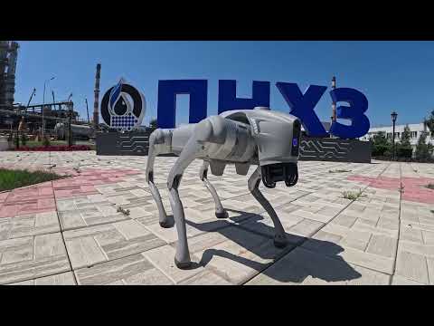 Видео: Smart-каска и робопёс тестируются на ПНХЗ