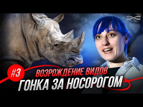 Видео: Воскрешение видов. Гонка за носорогом
