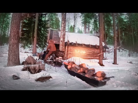 Видео: КЛЁВАЯ РЫБАЛКА В ГЛУШИ. ТАЁЖНАЯ ИЗБА НА СЕКРЕТНОМ ОЗЕРЕ. ТАЁЖНЫЙ БЫТ. ЗАГОТОВКА ДРОВ ДЛЯ ИЗБЫ.