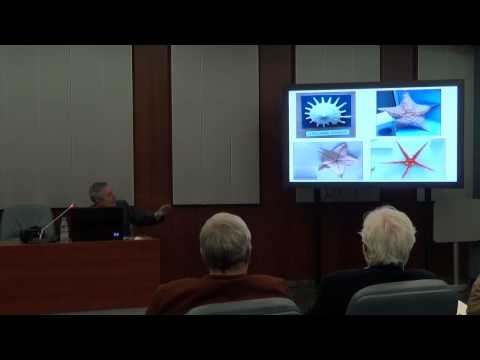 Видео: „Златното сечение: математически факти и художествени митове“ / Публична лекция на Владимир Сотиров