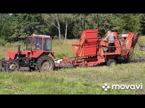 Видео: ВТЗ т30а80(45-ка) і картопляний комбайн GRIMME EUROPA STANDETTE