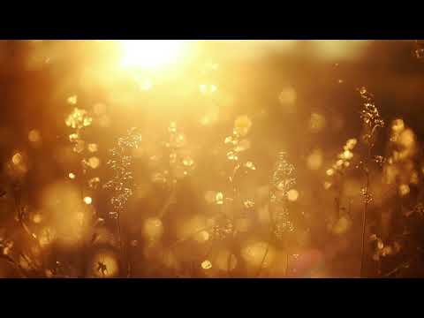 Видео: Кажете тези 6 парични фрази за 60 секунди   Отключвайте богатство всяка сутрин!