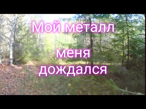 Видео: Стоянка Леспромхоза. Опоздал на пару лет