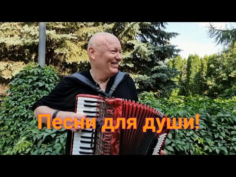 Видео: Песни, ушедшие в народ / Николай Засидкевич / Концерт.