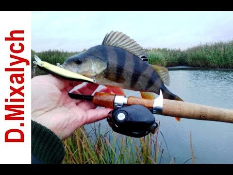 Видео: Твичинг воблеров в труднопроходимых местах осенью Major Craft Go Emotion GEC-672ML/BF