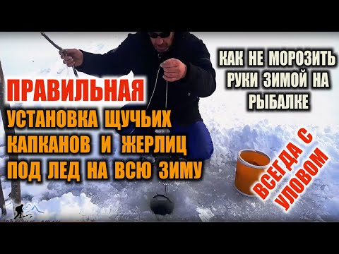 Видео: КАПКАНЫ НА ЩУКУ правильная установка капканов. УСТАНОВКА ЖЕРЛИЦ НА ЩУКУ ПОД ЛЕД НА ВСЮ ЗИМУ Рыбалка.