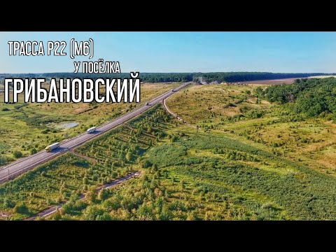 Видео: Окрестности посёлка ГРИБАНОВСКИЙ. Трасса М6. Пруды, поля и лес. | Воронежская область