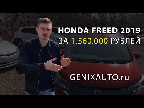 Видео: Самый популярный семейный автомобиль из Японии - Honda Freed 2019 года