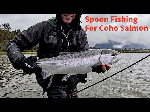 Видео: Ловля кижуча на блесну на реке