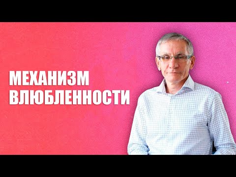 Видео: Механизм влюбленности.  Валентин Ковалев