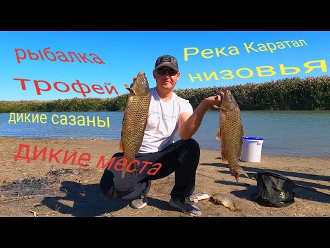 Видео: Каратал рыбалка низовья, мой трофей!