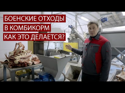 Видео: Переработка боенских отходов в комбикорм. Как устроена линия компании Экспро М.