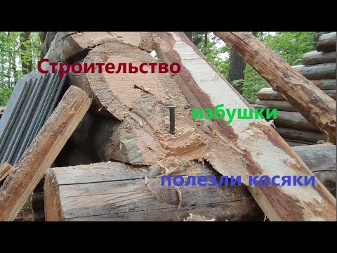 Видео: Строительство таёжной избушки. ч.6 Полезли Косяки. #лес #hunting #survival #природа #рыбалка