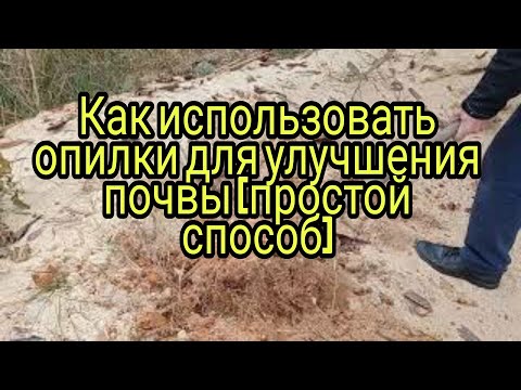 Видео: Как использовать опилки для улучшения почвы (простой способ)