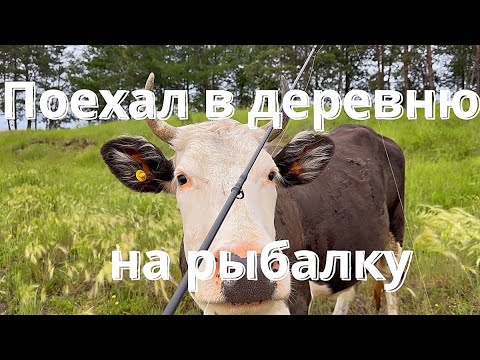 Видео: Дубовый Мыс. Нанайский район. Рыбачим в деревне.