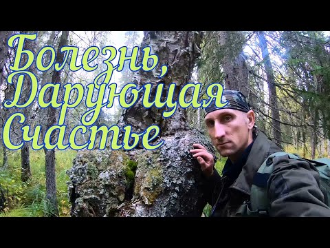 Видео: Охотники больные? Нужен ли широкий поиск у собак?