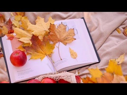 Видео: Жду гостей🍁Новий сезон 🌾