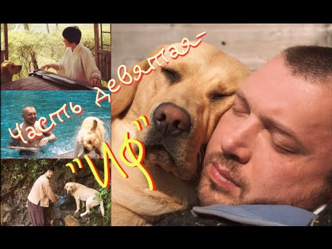 Видео: Чайный товарищ  в гостях у Ильи Бадурова #9 -"Иф".