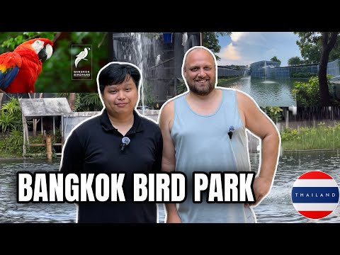 Видео: ОДНА ИЗ КРУПНЕЙШИХ КОЛЛЕКЦИЙ ПОПУГАЕВ В АЗИИ