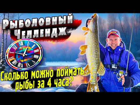 Видео: Щука на спиннинг | Джиг-Риг на реке | Рыболовный челлендж