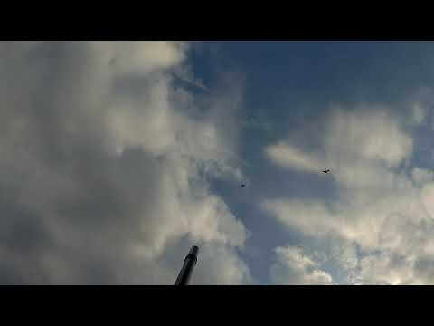Видео: Не очень удачная охота и сайга 12 2021 Омская область