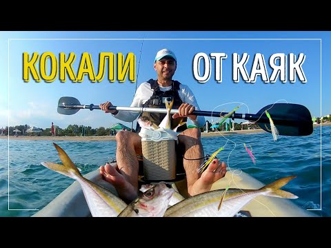 Видео: Кокали от каяк. Неизбежна среща с морски дракони. Размина ми се на косъм