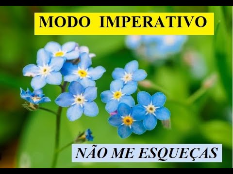 Видео: Modo Imperativo. Повелительное Наклонение в Португальском Языке
