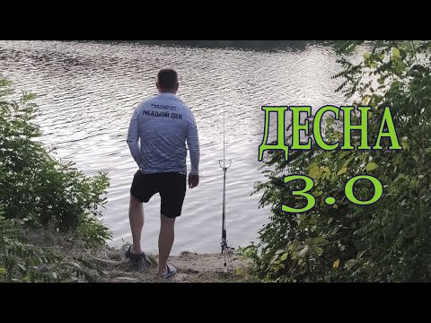 Видео: Десна 3.0  Лящ клює, дивіться як ловити #fishing #feeder #риболовля #рибацькийдвіж #лящ