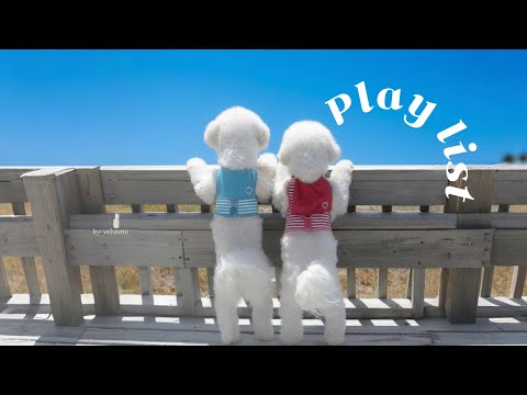 Видео: 𝐏𝐥𝐚𝐲𝐥𝐢𝐬𝐭 [Cafe] Крадёт сердце с первой песни💘 Осеннее утро счастья | Рабочие треки