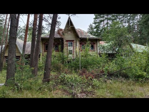 Видео: Ленинец. Заброшенный пионерский лагерь с огромным бассейном и корпусами-теремами