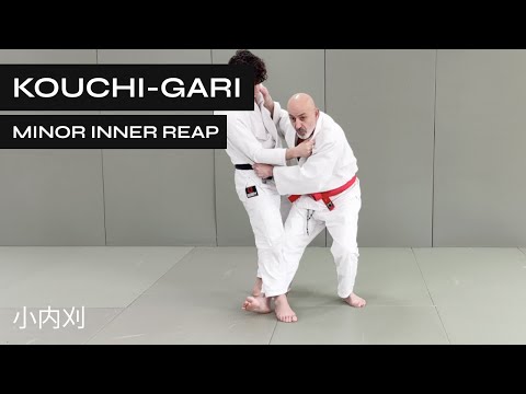 Видео: Как делать Коучи-Гари | Малый внутренний жнец | Малый внутренний жнец