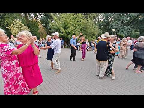 Видео: 7.09.24г...Землякам Посвящается "... Виктор Давидзон... звучит на танцполе в Гомеле...